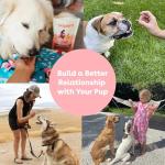 Pupford Rabbit Freeze-Dried Training Treats for Dogs