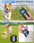 Remote Training Collar for All Dog Sizes