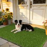 HEBE Reusable Fake Grass Dog Pee Pad 3'x5
