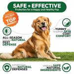 Natural Flea and Tick Chews for Dogs - 170 Count