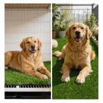 HEBE Reusable Fake Grass Dog Pee Pad 3'x5