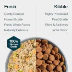 JustFoodForDogs Chicken & Rice Wet Dog Food