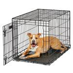 MidWest 36-Inch Folding Dog Crate with Divider