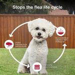 K9 Advantix II Small Dog Flea and Tick Treatment