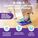 Outward Hound 3-in-1 Interactive Dog Puzzle Toy