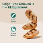 Jinx Puppy Dry Dog Food with Real Chicken