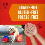 Stella & Chewy's Freeze-Dried Raw Dog Treats