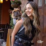 K9 Sport Sack Urban 3 - Small Dog Carrier