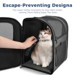 Apollo Walker Pet Carrier Backpack for Small Dogs