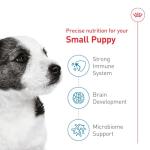Royal Canin Small Puppy Dry Dog Food, 14 lb
