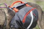 Mountainsmith K9 Adjustable Dog Backpack Harness