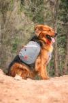 Mountainsmith K9 Adjustable Dog Backpack Harness