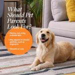 Antiseptic Medicated Shampoo for Dogs and Cats