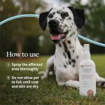 Hot Spot Itch Relief Spray for Dogs & Cats