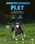 Automatic Ball Thrower and Launcher for Dogs