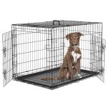 Medium 36 Inch Portable Dog Crate with Lock