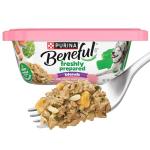 Purina Beneful Salmon Wet Dog Food Blends 10 oz