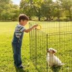 Foldable Metal Dog Playpen with 8 Panels