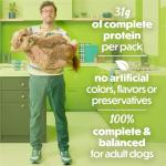 Purina Beneful Salmon Wet Dog Food Blends 10 oz