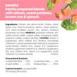 Purina Beneful Salmon Wet Dog Food Blends 10 oz