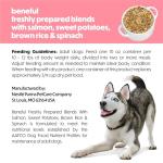 Purina Beneful Salmon Wet Dog Food Blends 10 oz