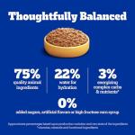 Pedigree Wet Dog Food Variety Pack, 18 Pouches