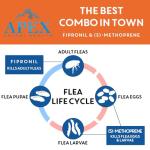 Apex Plus Flea and Tick Treatment for Small Dogs
