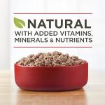 Purina ONE Grain-Free Beef & Salmon Wet Dog Food