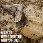 Y-Shaped Dog Backpack for Hiking and Travel
