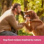Nature's Recipe Grain Free Salmon Dog Food, 12 Pack