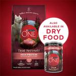 Purina ONE Grain-Free Beef & Salmon Wet Dog Food