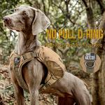 Y-Shaped Dog Backpack for Hiking and Travel