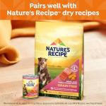 Nature's Recipe Grain Free Salmon Dog Food, 12 Pack