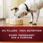 Purina ONE Grain-Free Beef & Salmon Wet Dog Food
