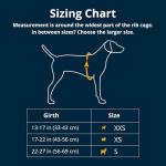 Ruffwear Hitch Hiker Hands-Free Dog Backpack Carrier