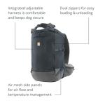 Ruffwear Hitch Hiker Hands-Free Dog Backpack Carrier