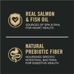 Purina Pro Plan Salmon & Rice Senior Dog Food