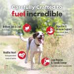 Nulo FreeStyle Senior Grain-Free Trout Dog Food