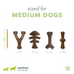 Benebone 4-Pack Durable Dog Toys for Chewers