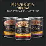 Purina Pro Plan Salmon & Rice Senior Dog Food