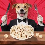 Freeze-Dried Chicken Treats for Dogs and Cats