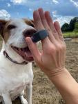 Karen Pryor Clicino Clicker Ring for Dogs