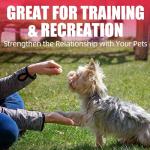 Freeze-Dried Chicken Treats for Dogs and Cats