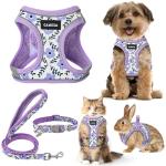 GAMUDA Small Dog Harness, Collar, and Leash Set