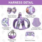 GAMUDA Small Dog Harness, Collar, and Leash Set