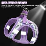 GAMUDA Small Dog Harness, Collar, and Leash Set