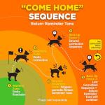 Dogtra GPS Fence - Custom Wireless Dog Containment System