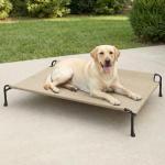 Veehoo Elevated Dog Bed with Headrest - Beige