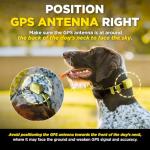 Dogtra GPS Fence - Custom Wireless Dog Containment System