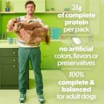 Purina Beneful High Protein Lamb Stew Dog Food